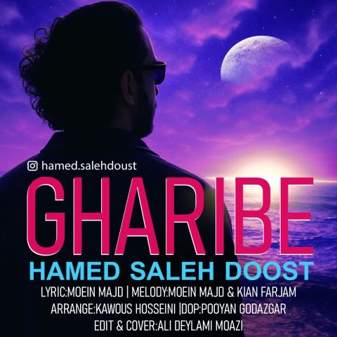 دانلود آهنگ حامد صالح دوست غریبه